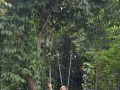 Tn DSC 4310